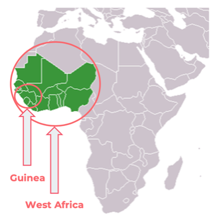 Guinea health system challenges